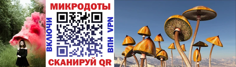 Псилоцибиновые грибы ЛСД дарнет шоп Весьегонск